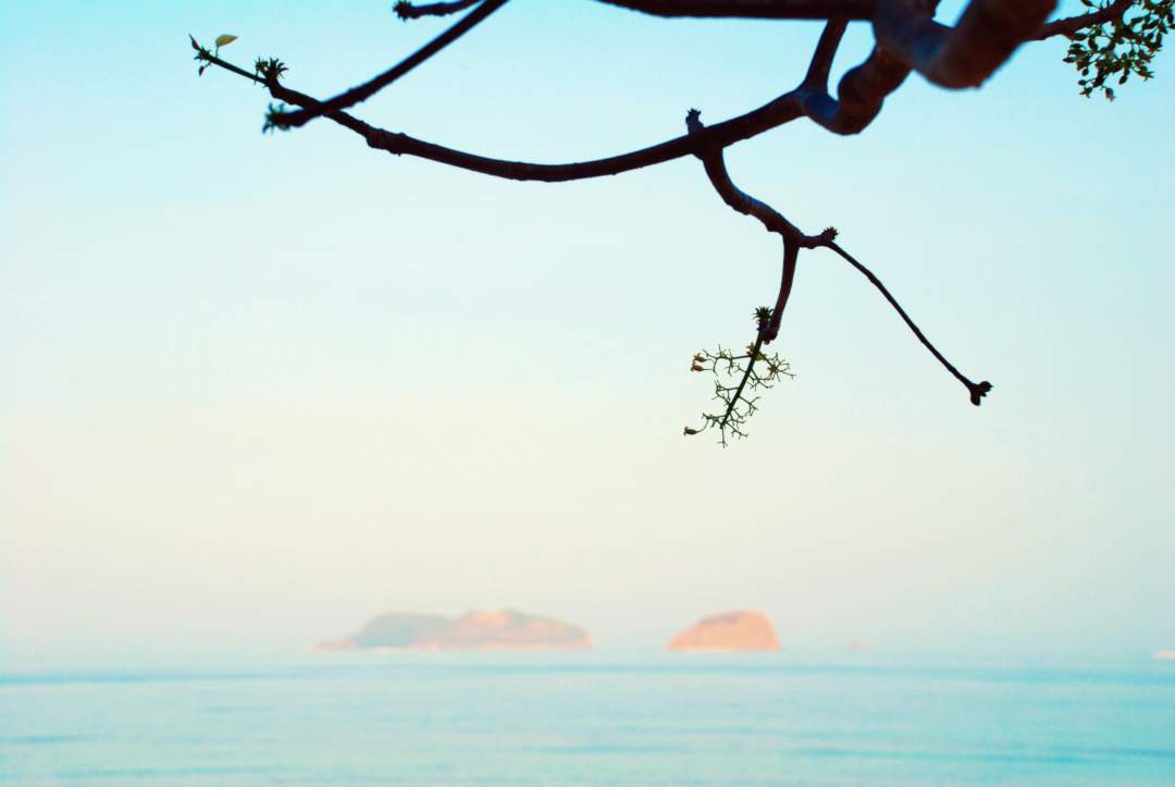 ariara gallery video thumbnail