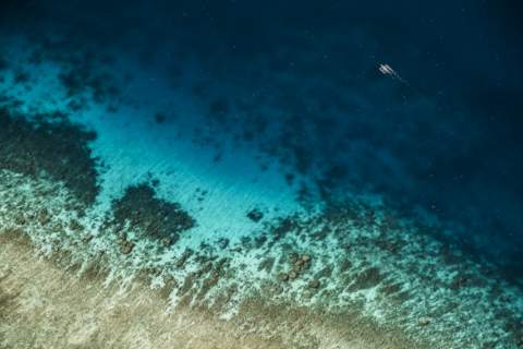 View of a rocky reef from the air