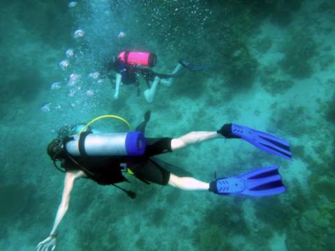 out on a first family dive