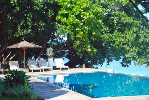 island infinity pool with tree overhanging