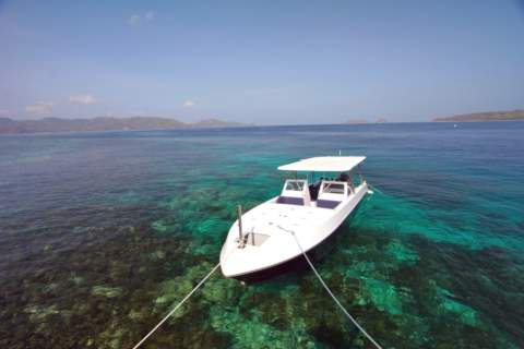 30ft speed boat moored up above a coral reef