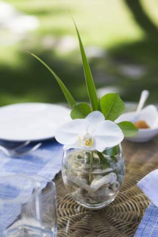 gorgeous creative table decorations with flowers and coral